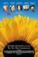 Божественные тайны сестричек Я-Я (2002)