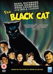 Черная кошка (1941)