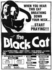 Чёрный кот (1981)