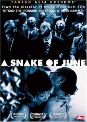 Июньский змей (2002)