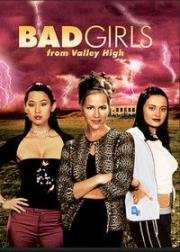 Плохие девчонки из высокой долины (2005)