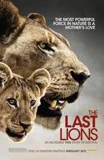 National Geographic: Последние львы (2011)