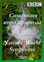 Симфония мира природы