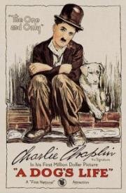 Собачья жизнь (1918)