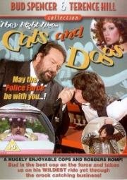 Собаки и кошки (1983)