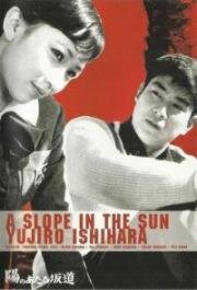 Солнечный спуск (Дорога, освещенная солнцем) (1958)