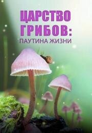 Царство грибов: Паутина жизни (2023)