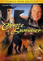 В одно прекрасное лето (1995)