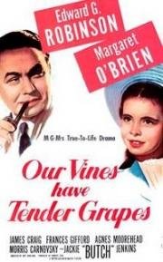 Виноградники наши в цвете (У нас растет нежный виноград) (1945)