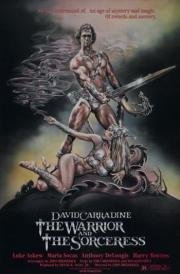 Воин и колдунья (1984)